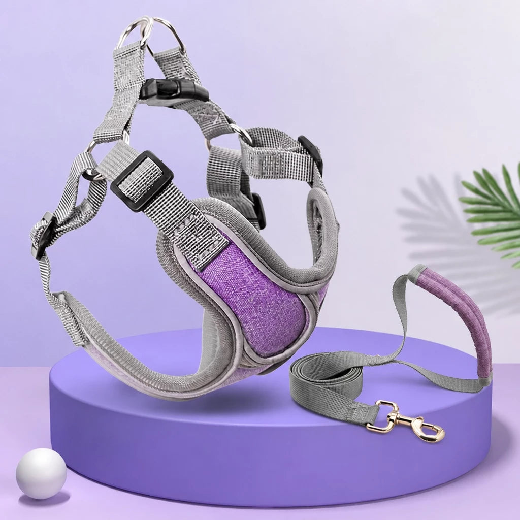 Dog Harness and Leash Set for Small to Medium Dogs