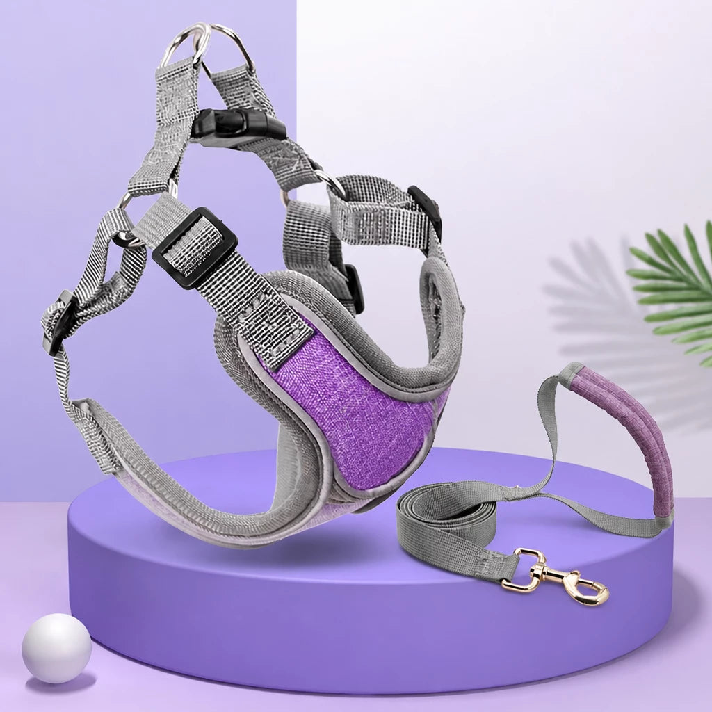 Dog Harness and Leash Set for Small to Medium Dogs