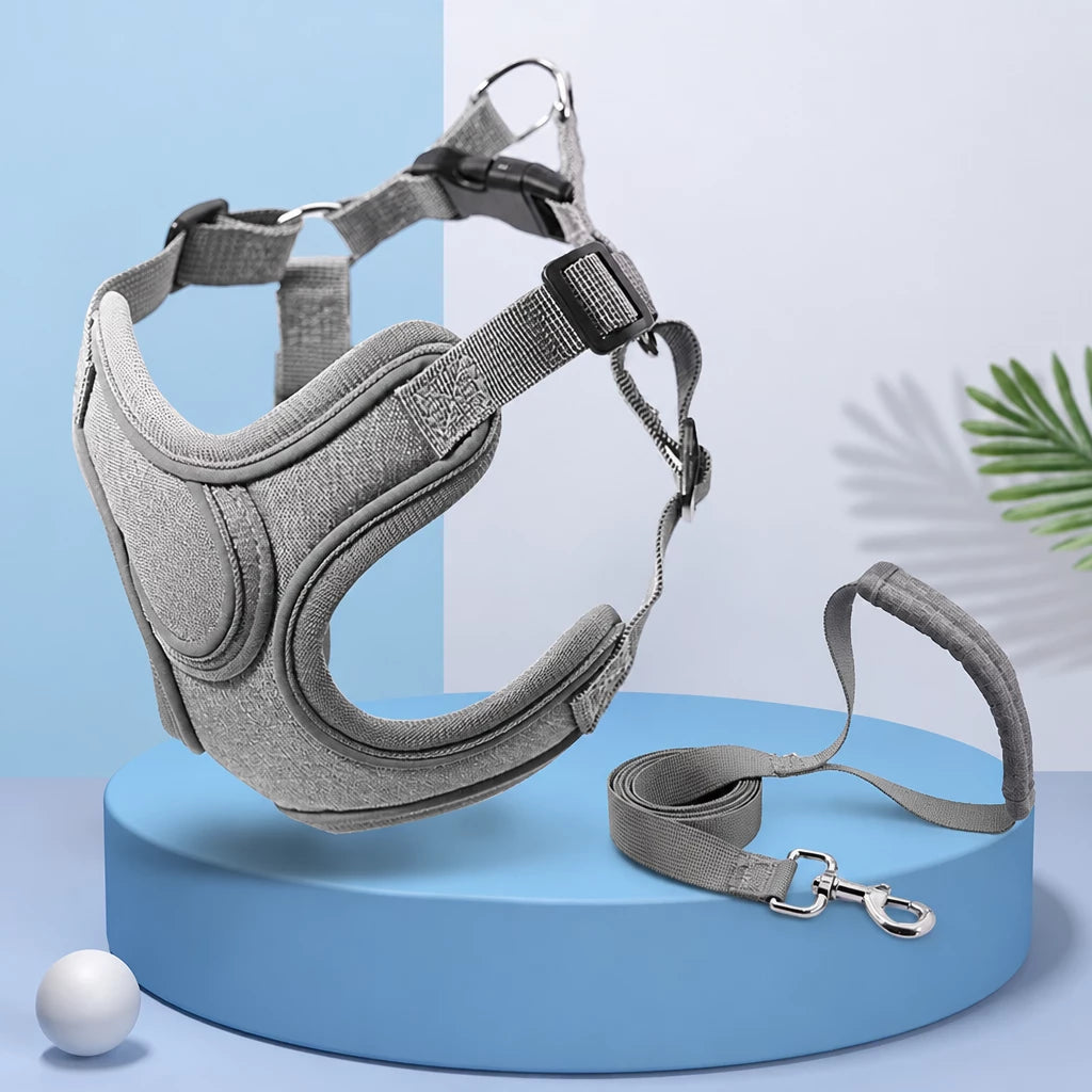 Dog Harness and Leash Set for Small to Medium Dogs