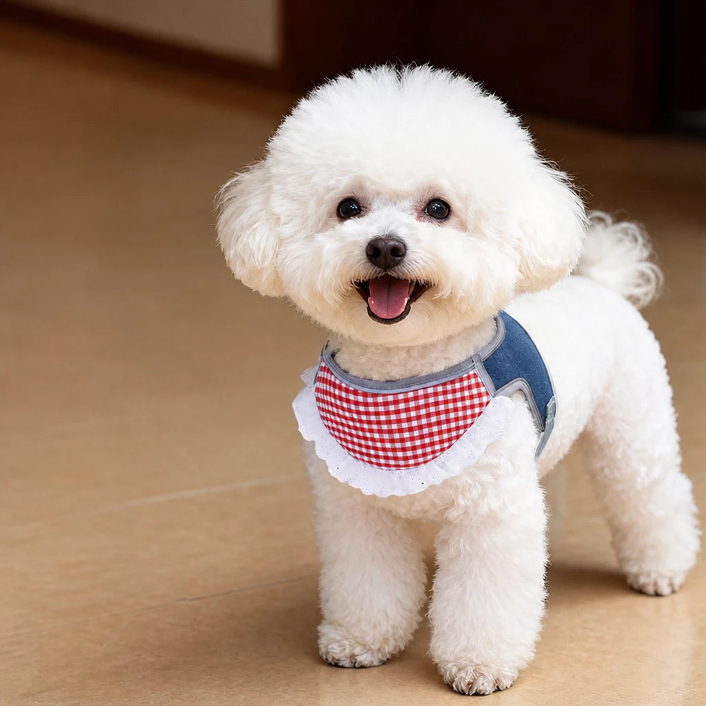 Nylon Vest-Style Dog Harness for Small to Medium Dogs