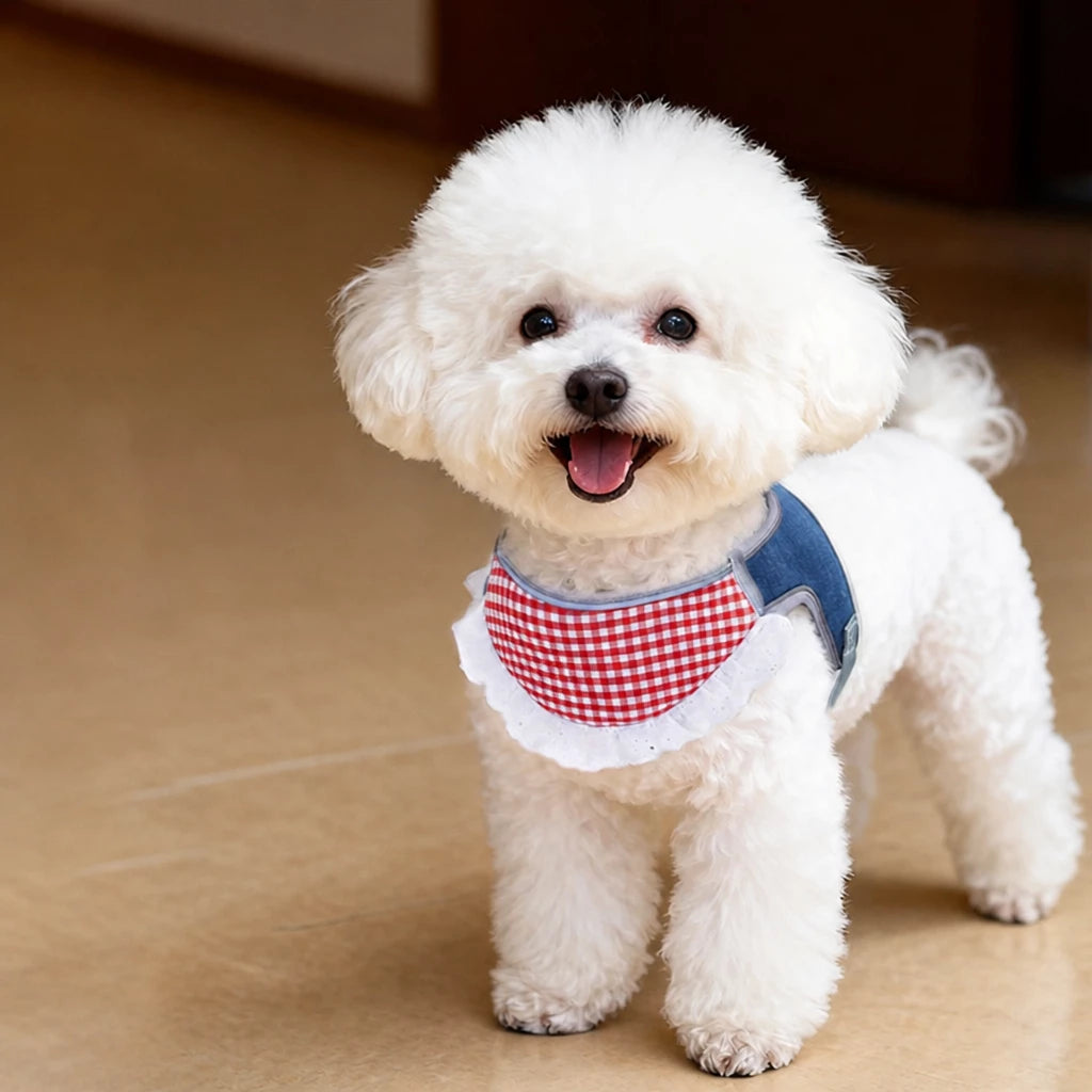 Nylon Vest-Style Dog Harness for Small to Medium Dogs