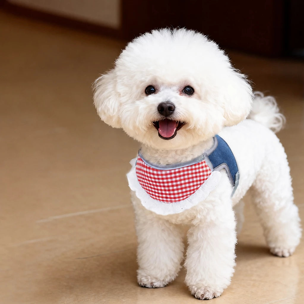 Nylon Vest-Style Dog Harness for Small to Medium Dogs