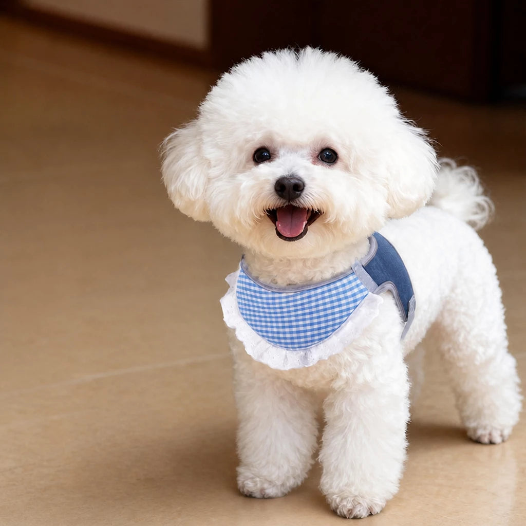 Nylon Vest-Style Dog Harness for Small to Medium Dogs