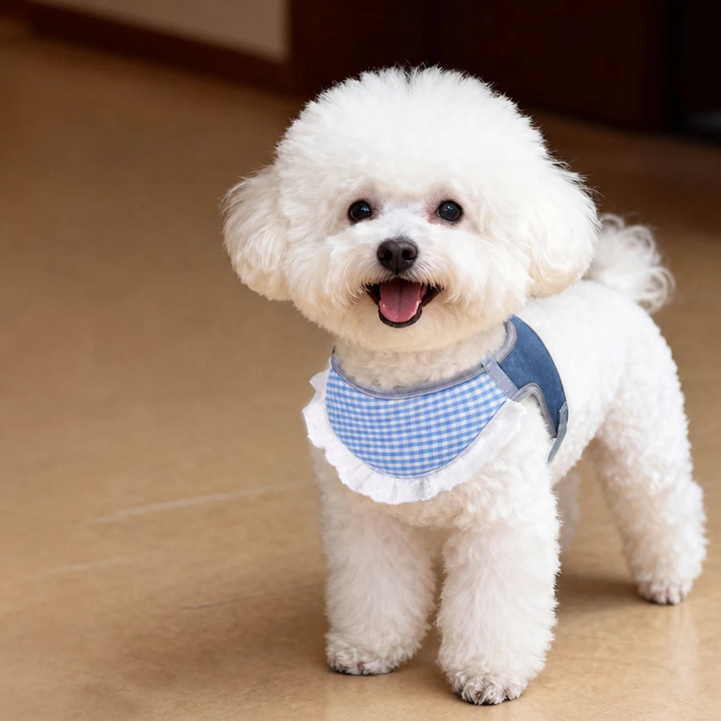 Nylon Vest-Style Dog Harness for Small to Medium Dogs