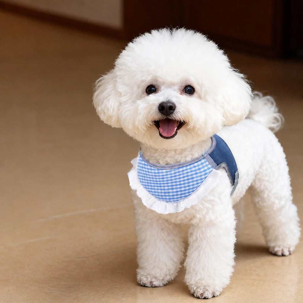 Nylon Vest-Style Dog Harness for Small to Medium Dogs