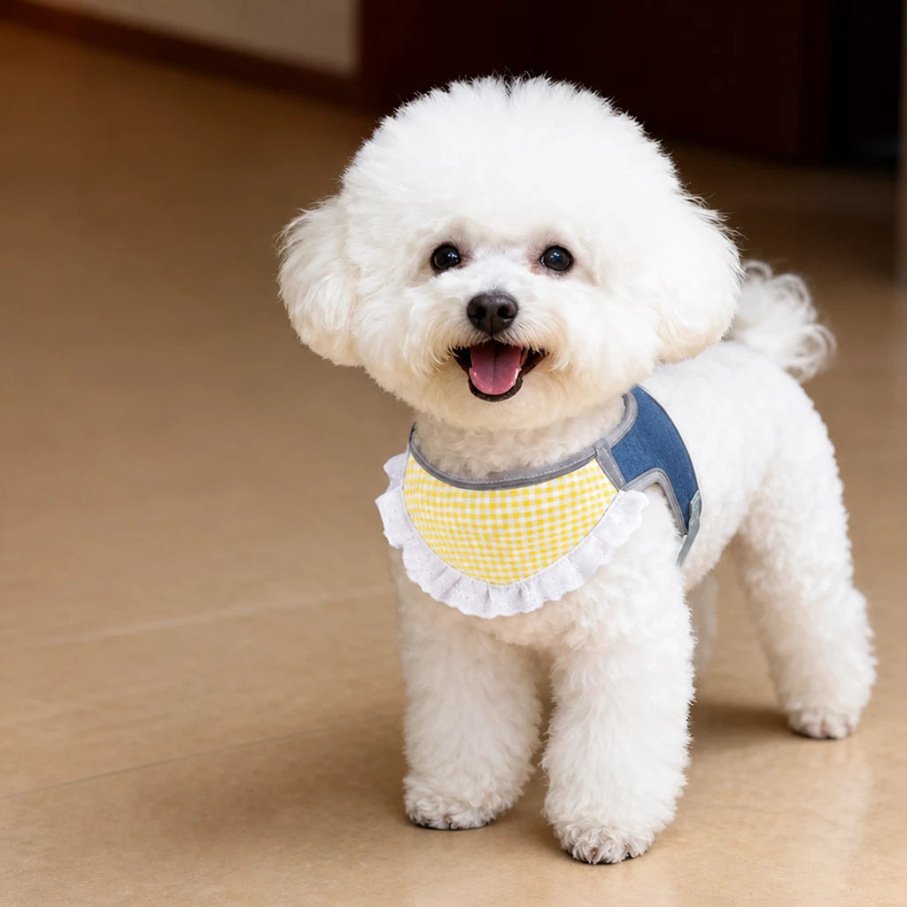 Nylon Vest-Style Dog Harness for Small to Medium Dogs