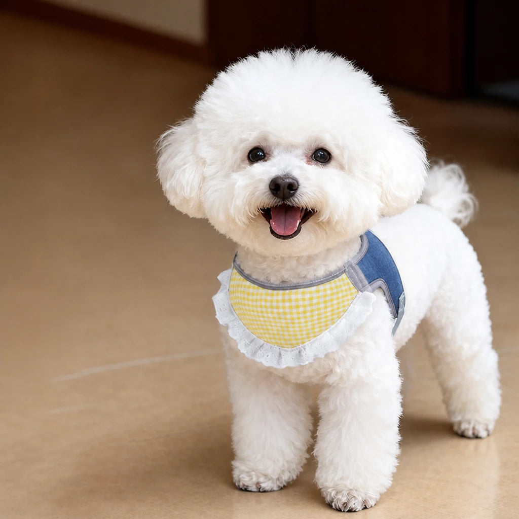 Nylon Vest-Style Dog Harness for Small to Medium Dogs