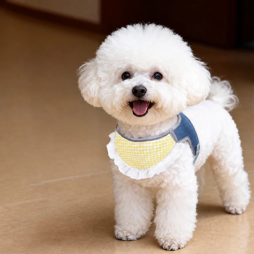 Nylon Vest-Style Dog Harness for Small to Medium Dogs
