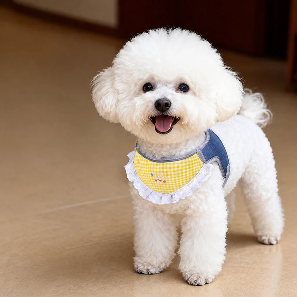 Nylon Vest-Style Dog Harness for Small to Medium Dogs