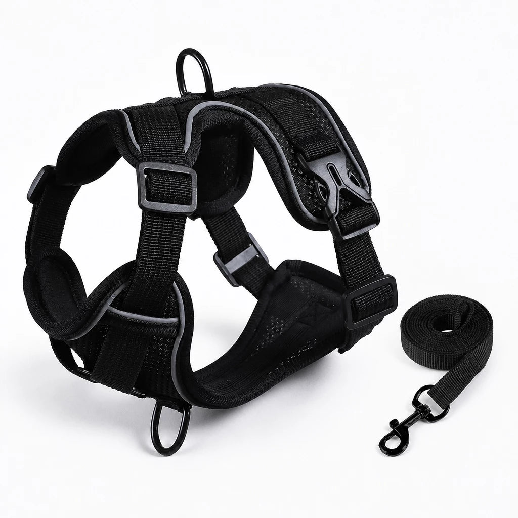 Adjustable Cat Harness and Leash