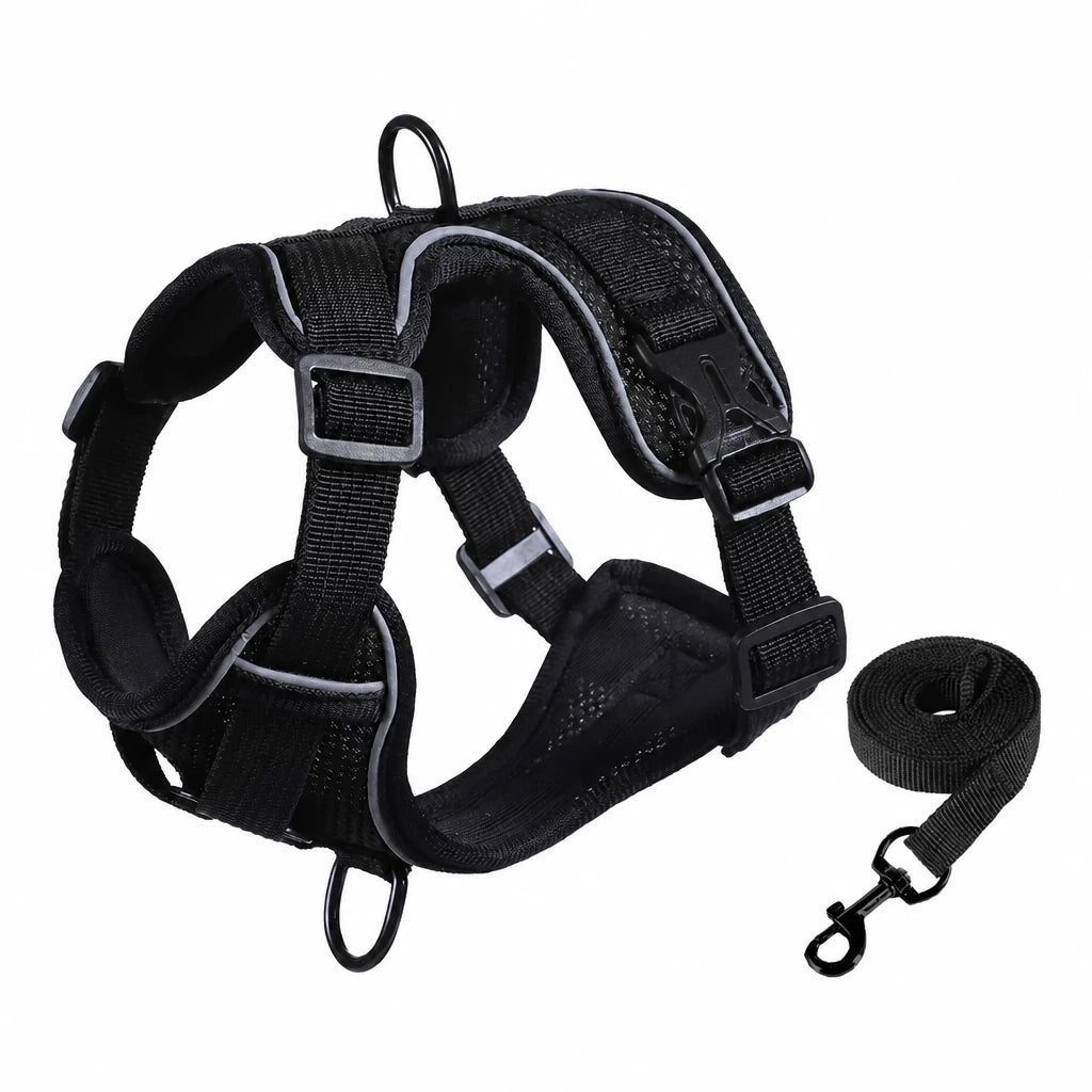 Adjustable Cat Harness and Leash