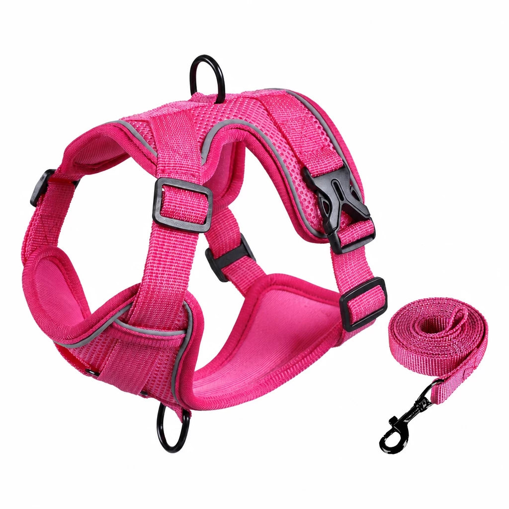 Adjustable Cat Harness and Leash