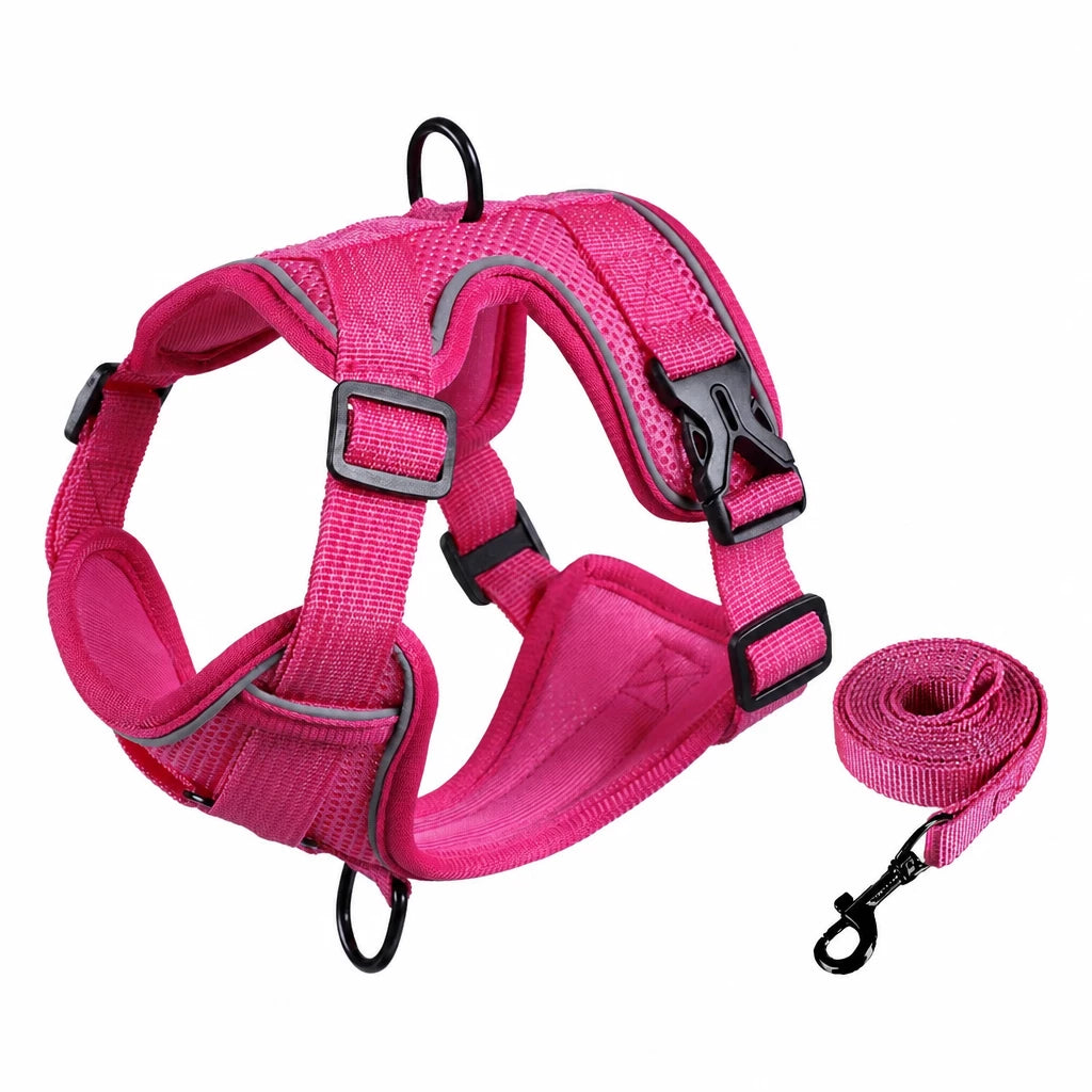 Adjustable Cat Harness and Leash