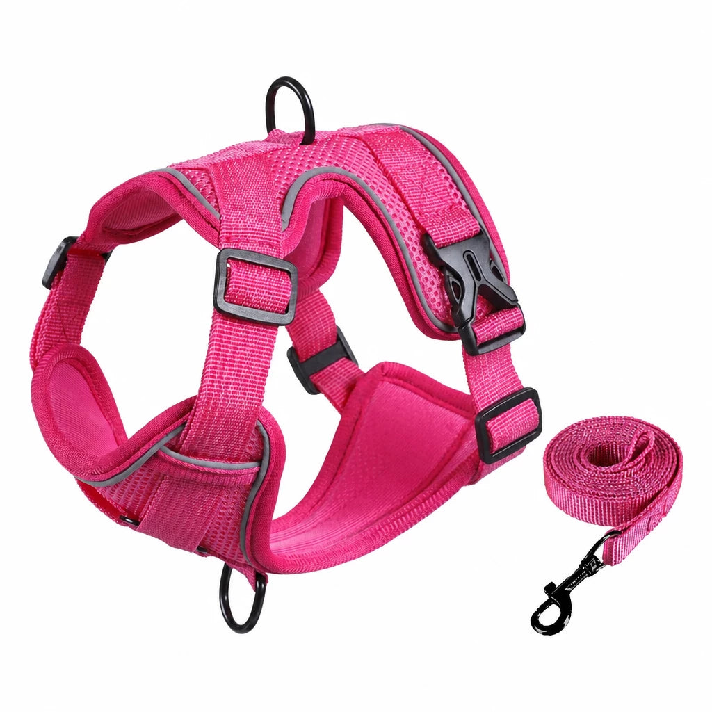 Adjustable Cat Harness and Leash