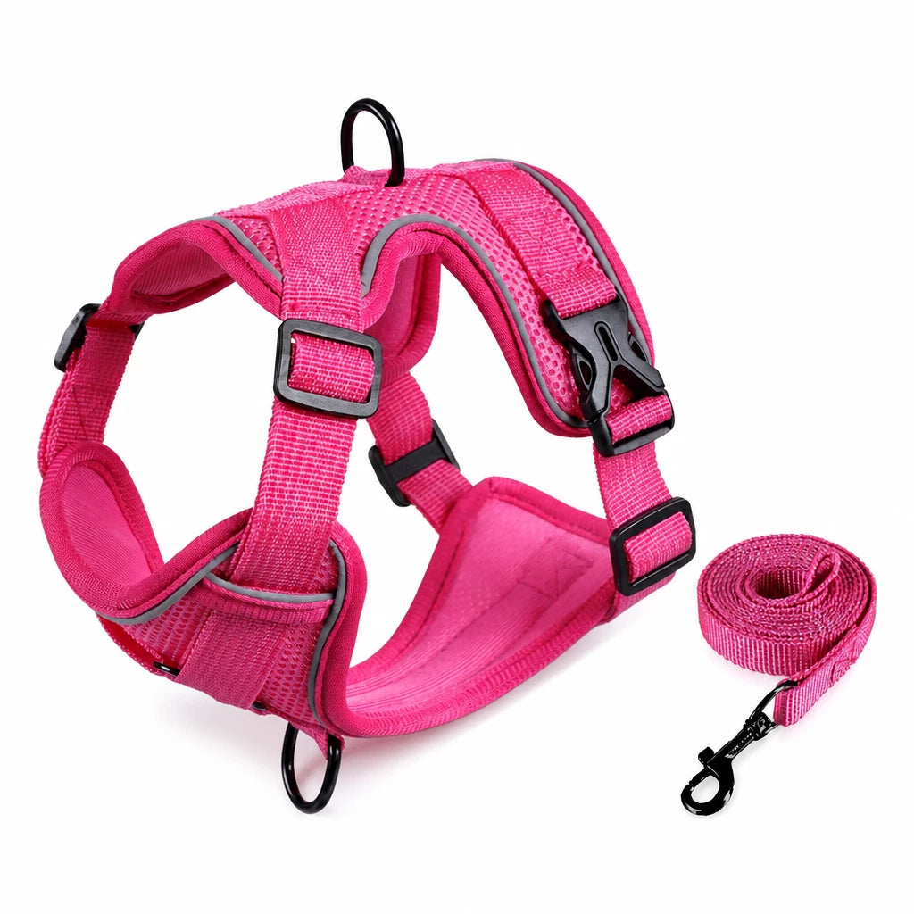 Adjustable Cat Harness and Leash