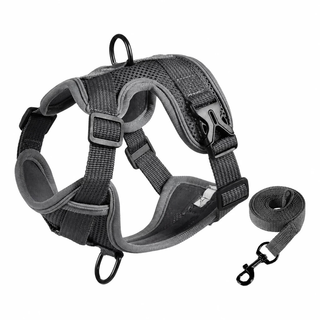 Adjustable Cat Harness and Leash