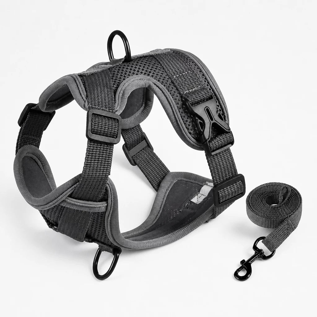 Adjustable Cat Harness and Leash