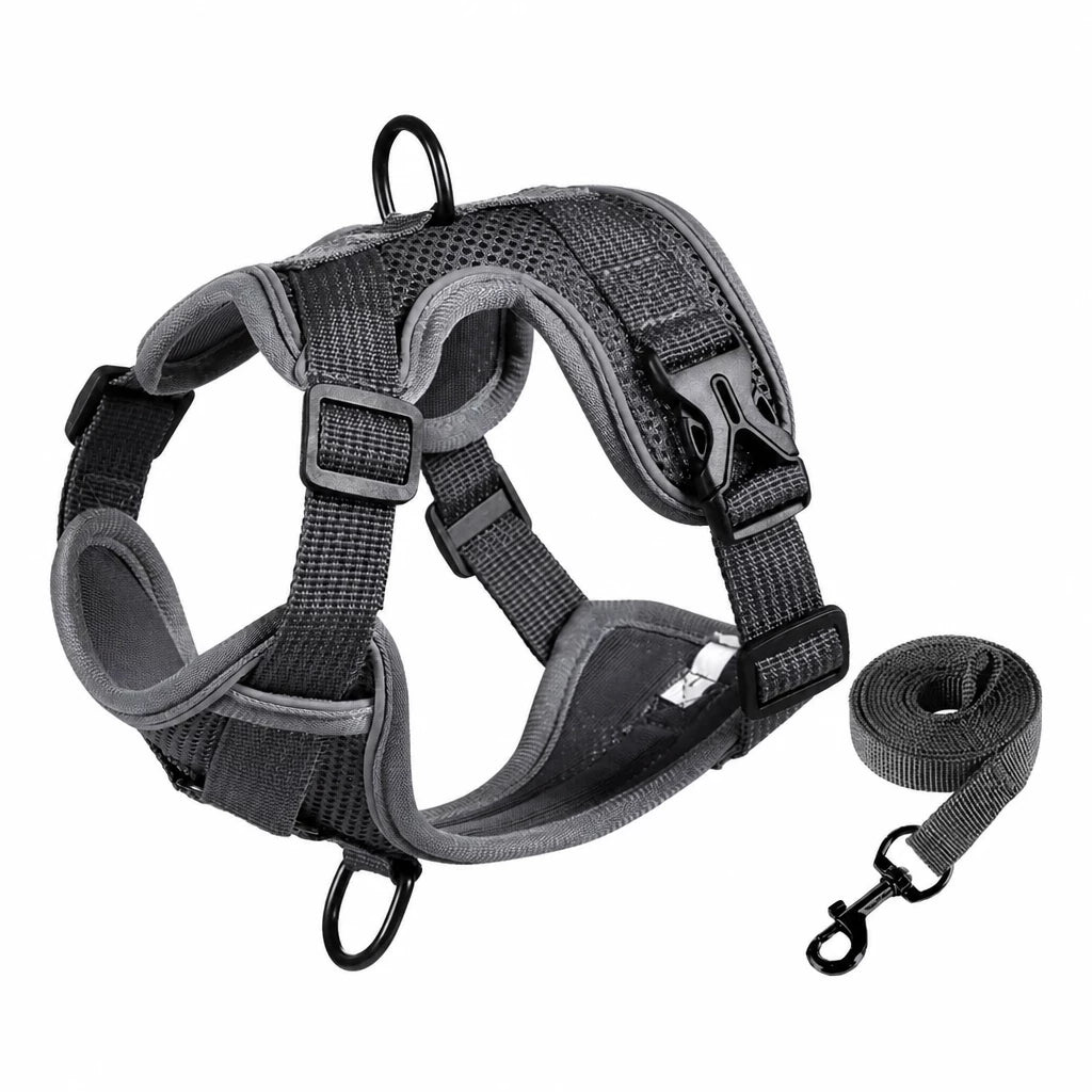Adjustable Cat Harness and Leash