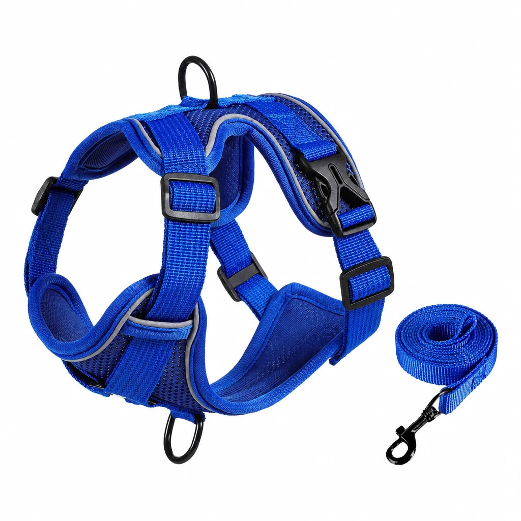 Adjustable Cat Harness and Leash