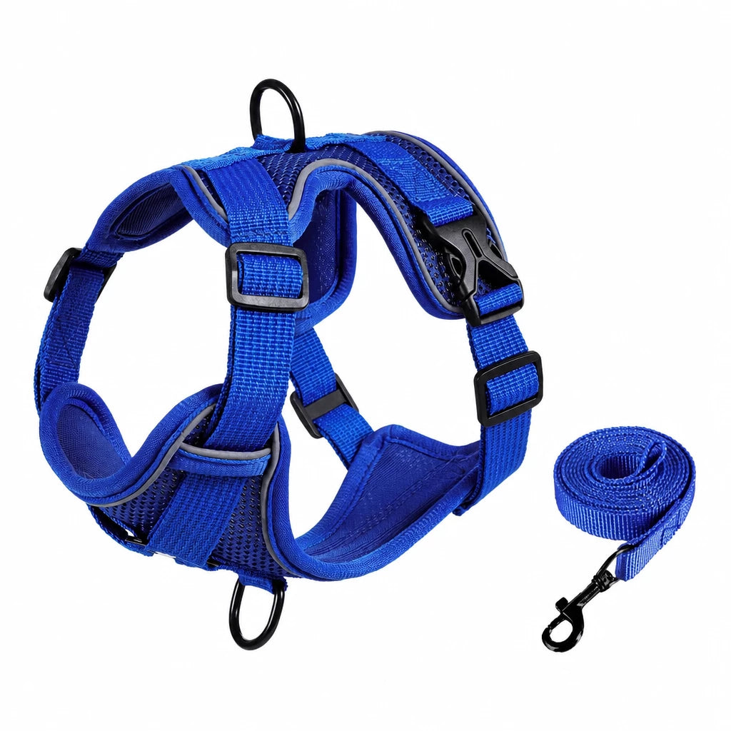 Adjustable Cat Harness and Leash