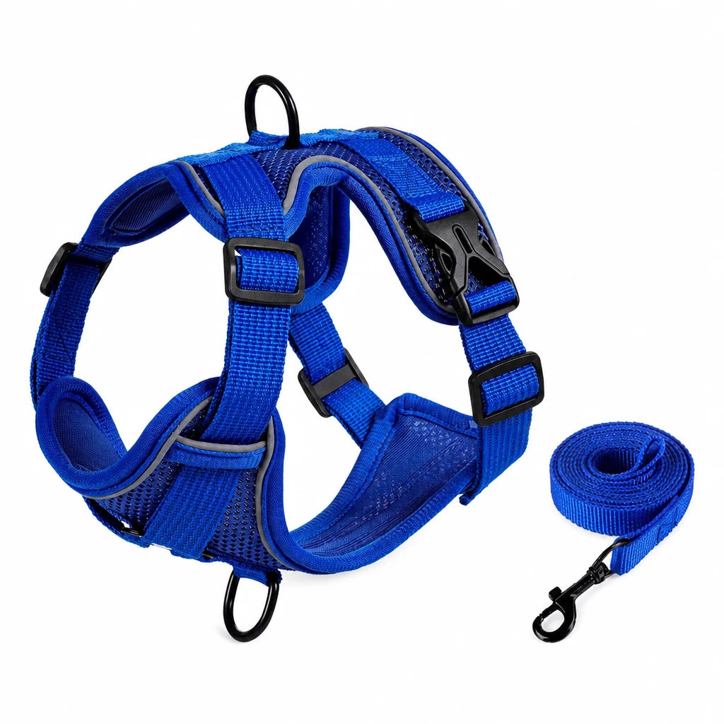 Adjustable Cat Harness and Leash