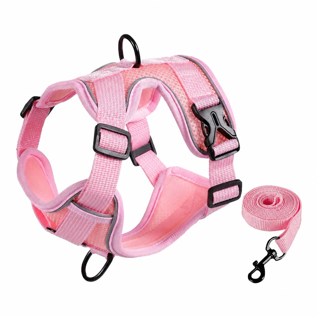 Adjustable Cat Harness and Leash