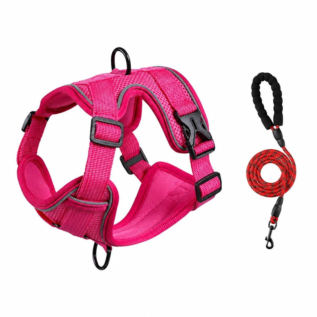 Adjustable Cat Harness and Leash
