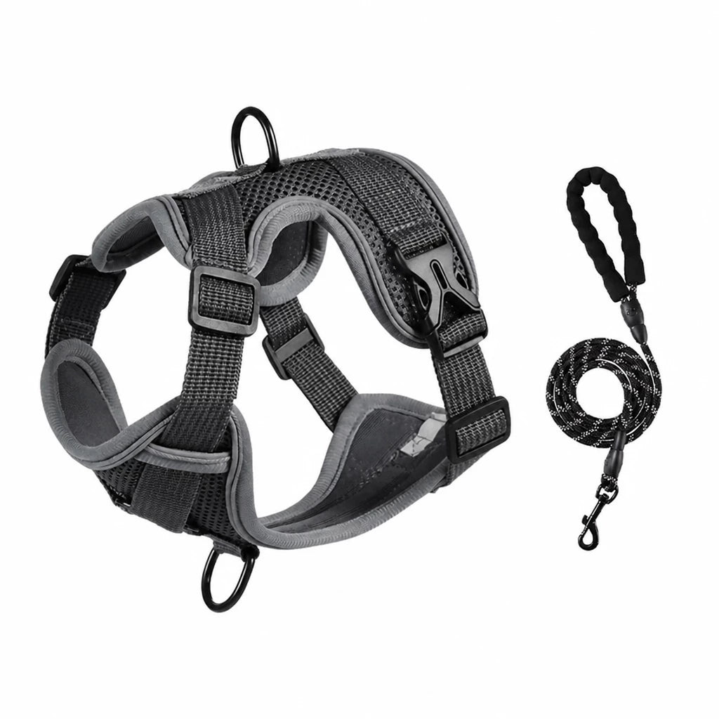 Adjustable Cat Harness and Leash