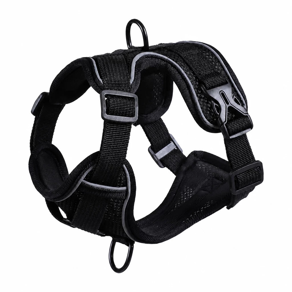 Adjustable Cat Harness and Leash