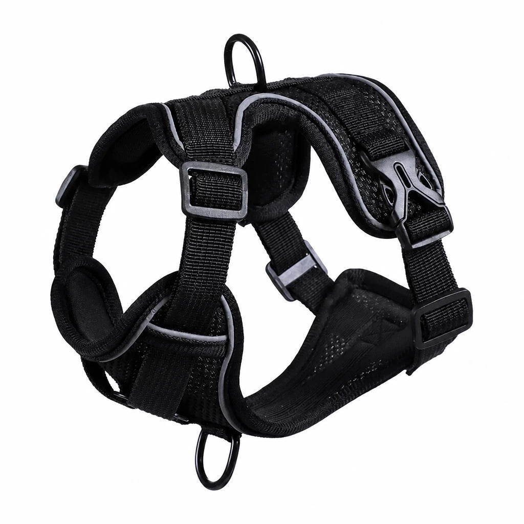 Adjustable Cat Harness and Leash