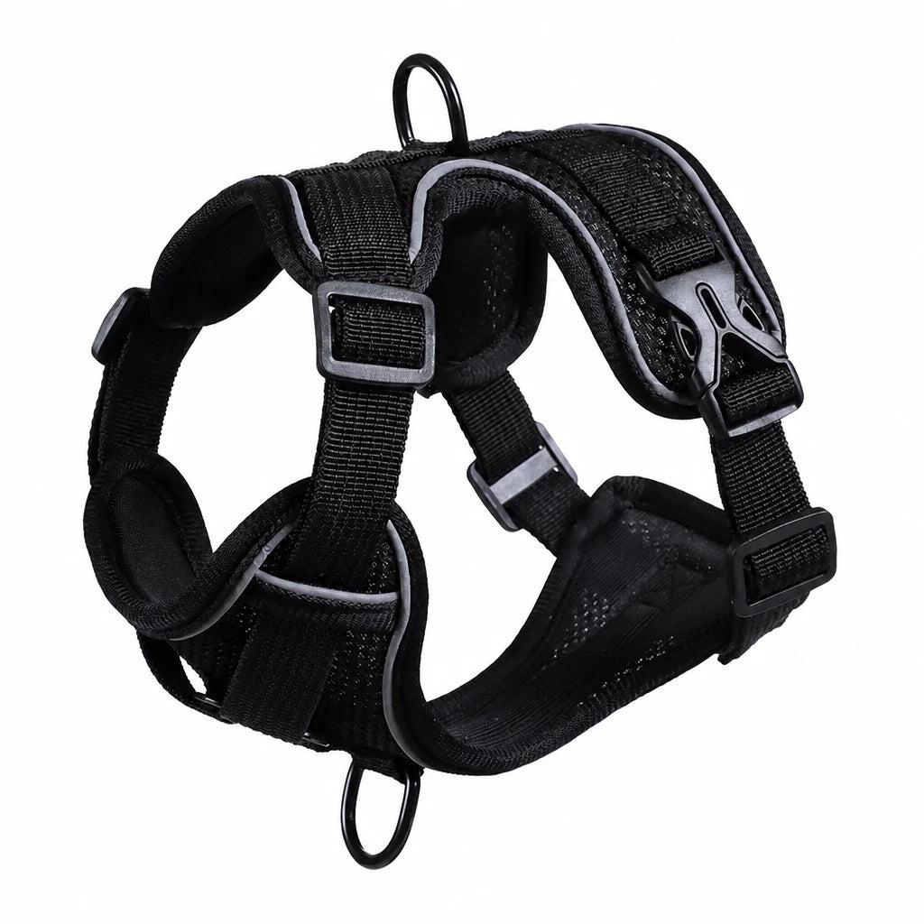 Adjustable Cat Harness and Leash