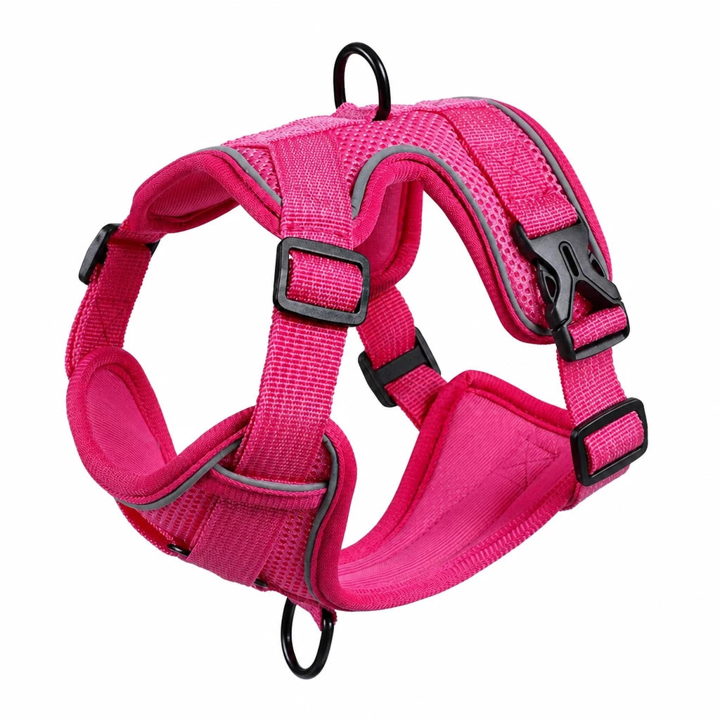 Adjustable Cat Harness and Leash