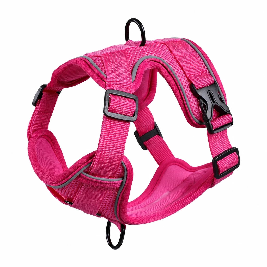 Adjustable Cat Harness and Leash