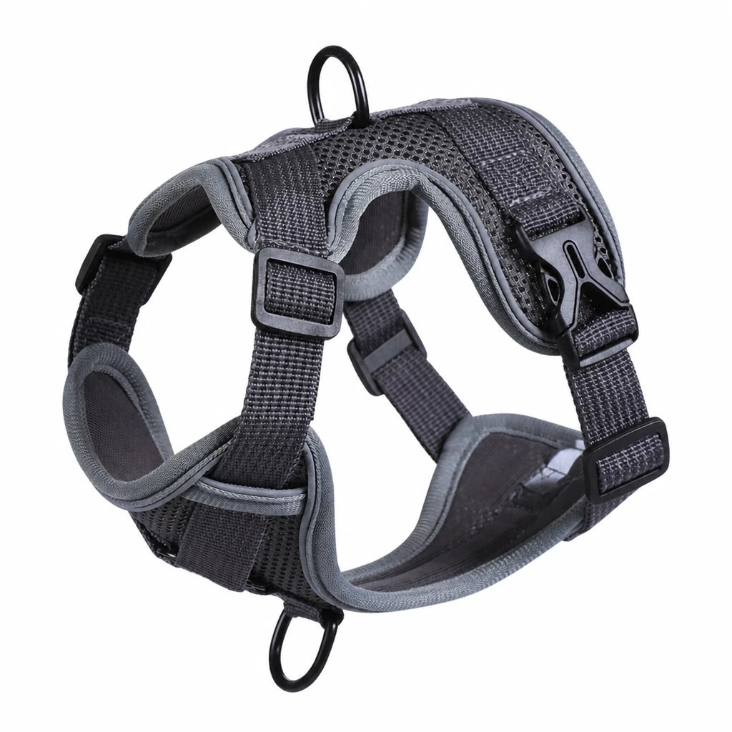 Adjustable Cat Harness and Leash