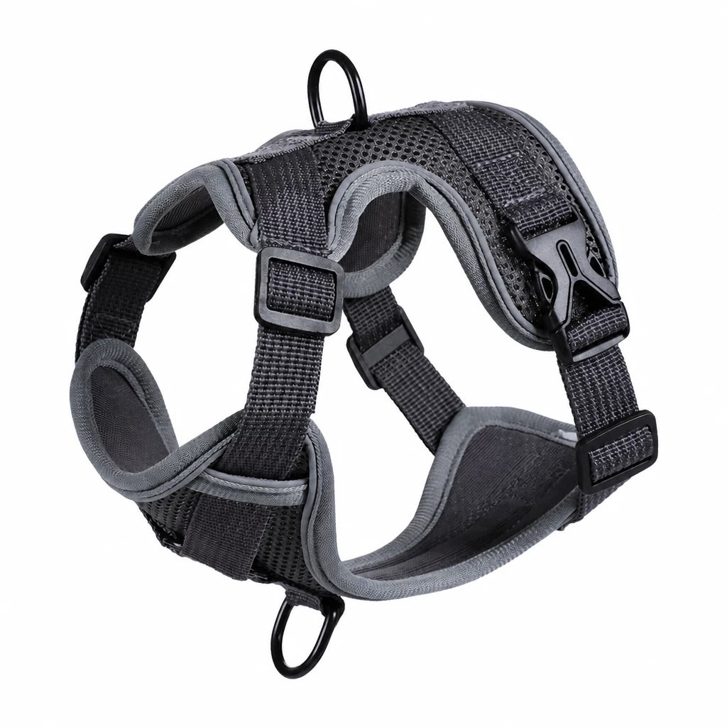 Adjustable Cat Harness and Leash