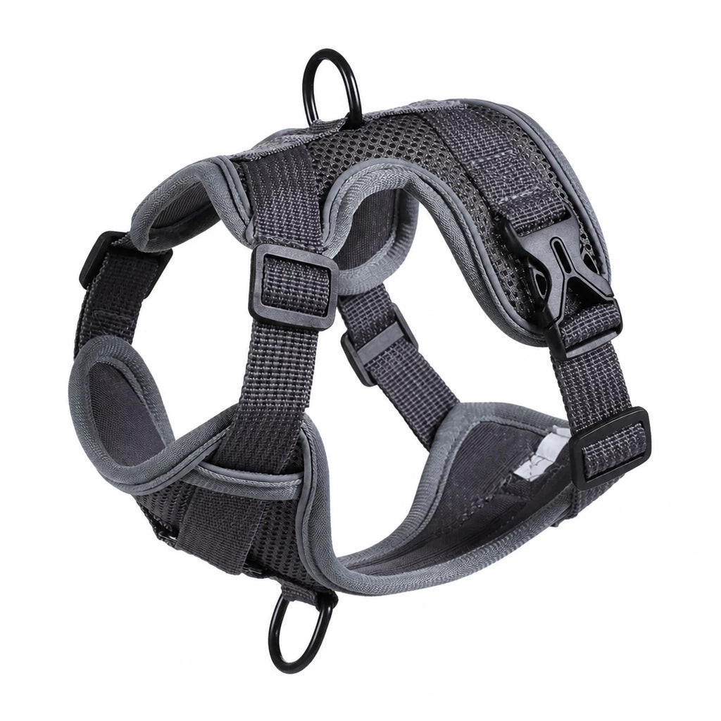 Adjustable Cat Harness and Leash