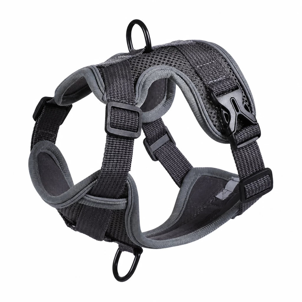 Adjustable Cat Harness and Leash