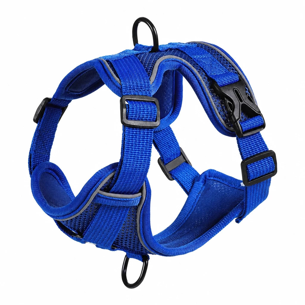 Adjustable Cat Harness and Leash