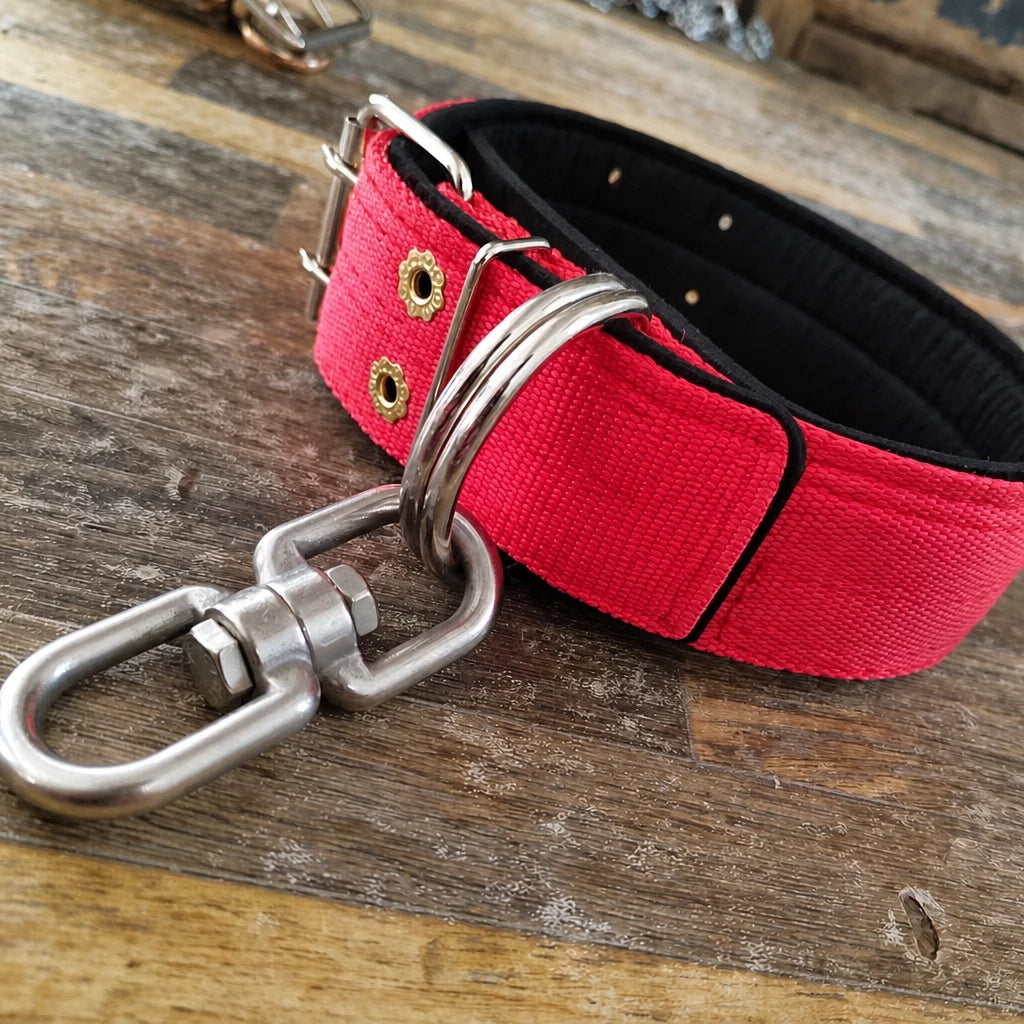 Heavy-Duty Nylon Dog Collar with Figure-8 Swivel Ring