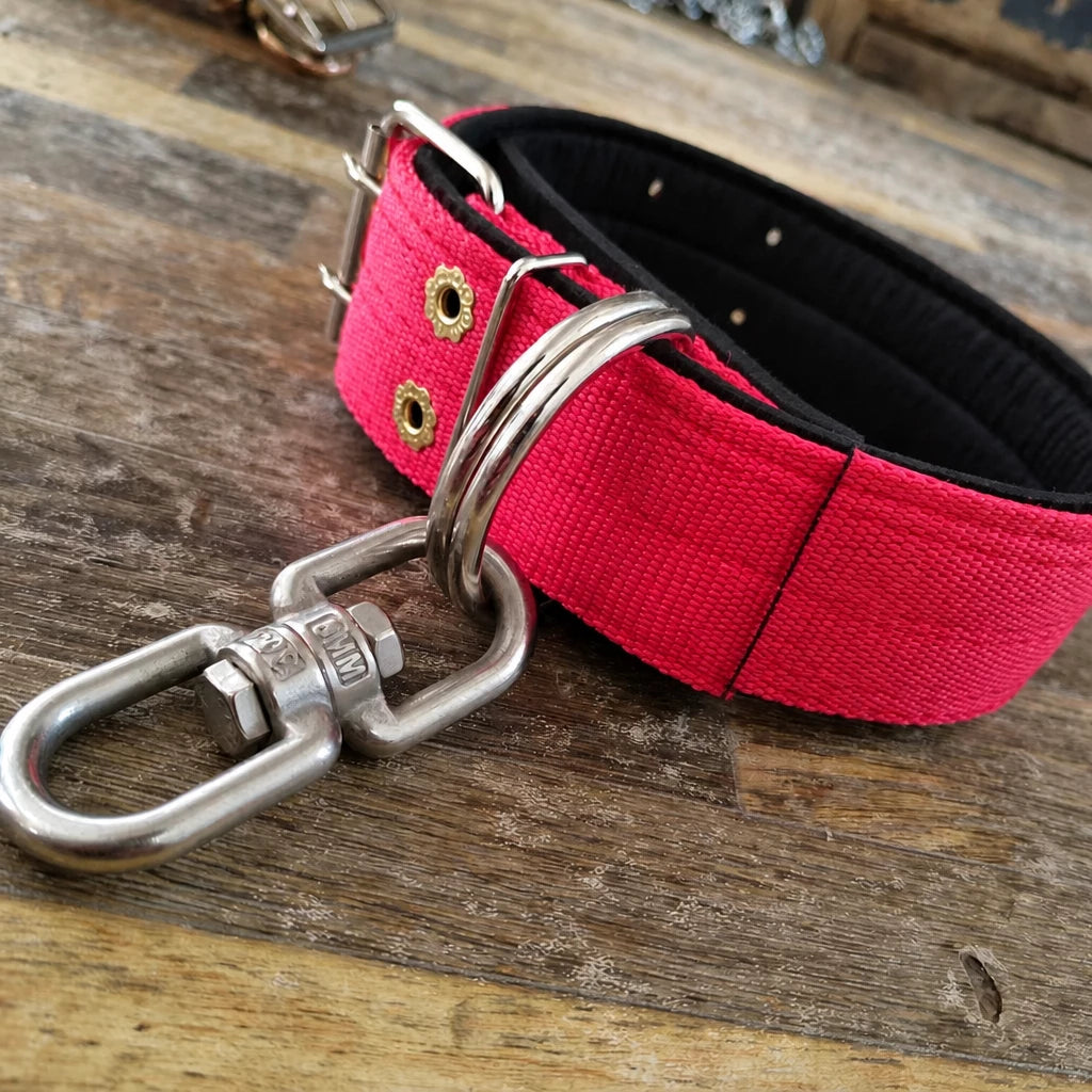 Heavy-Duty Nylon Dog Collar with Figure-8 Swivel Ring