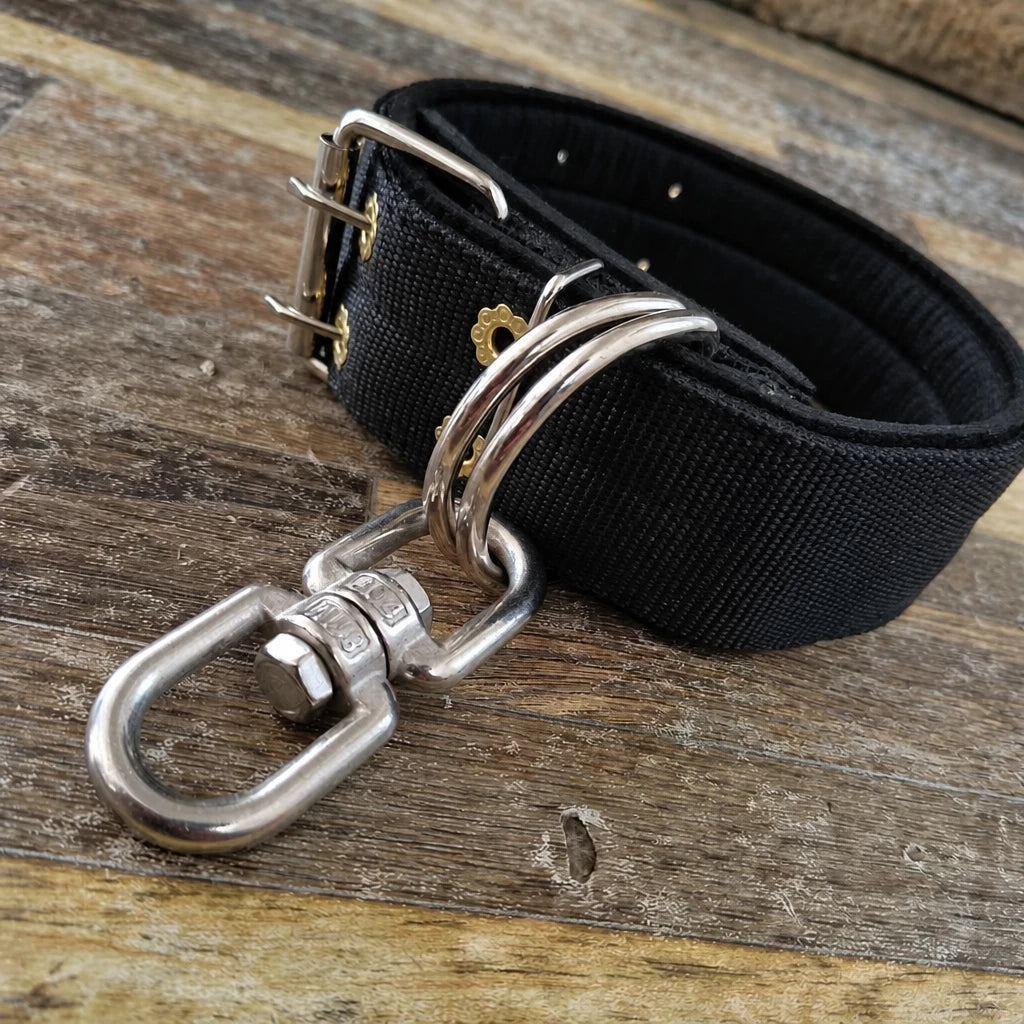 Heavy-Duty Nylon Dog Collar with Figure-8 Swivel Ring
