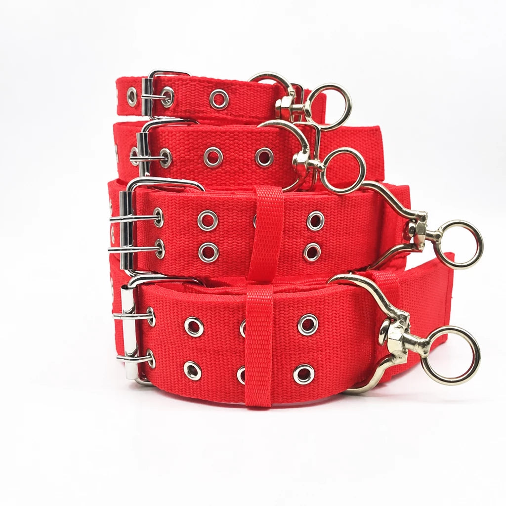 Adjustable Nylon Dog Collar