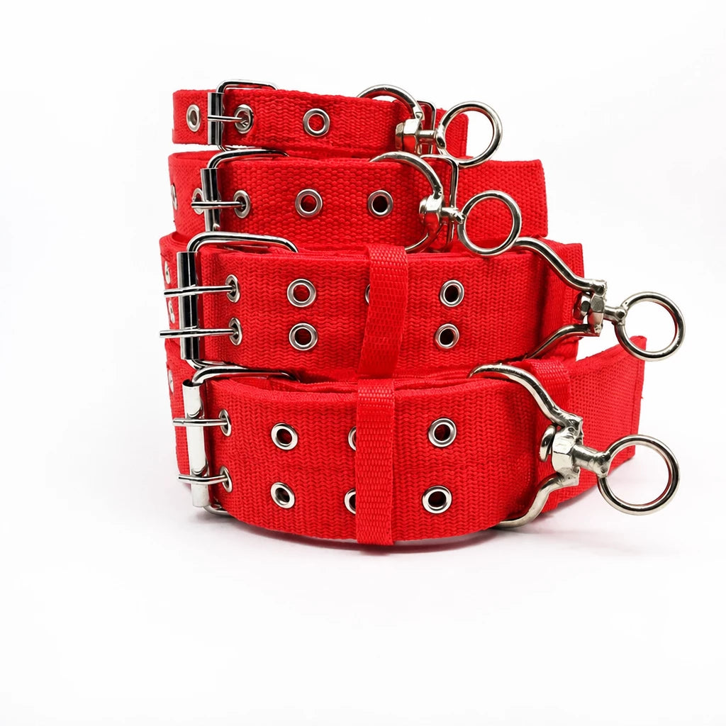Adjustable Nylon Dog Collar