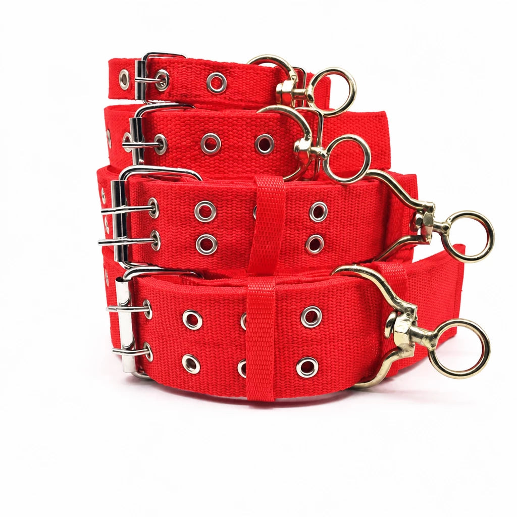 Adjustable Nylon Dog Collar