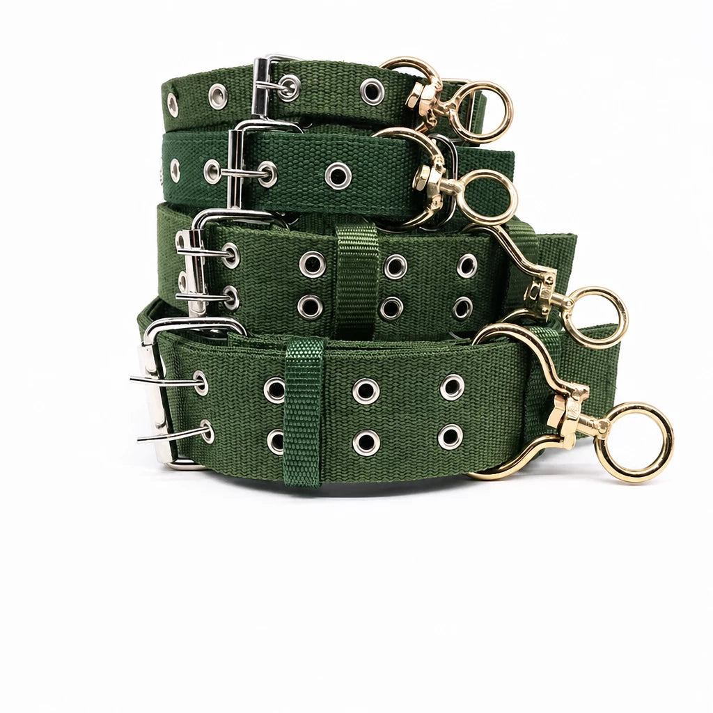 Adjustable Nylon Dog Collar