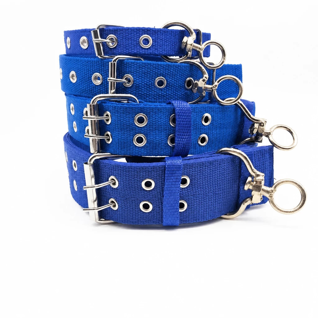 Adjustable Nylon Dog Collar