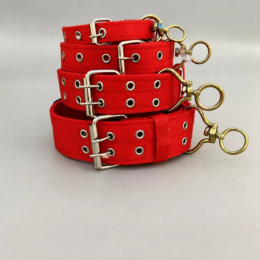 Nylon Dog Collar for Small to Large Dogs