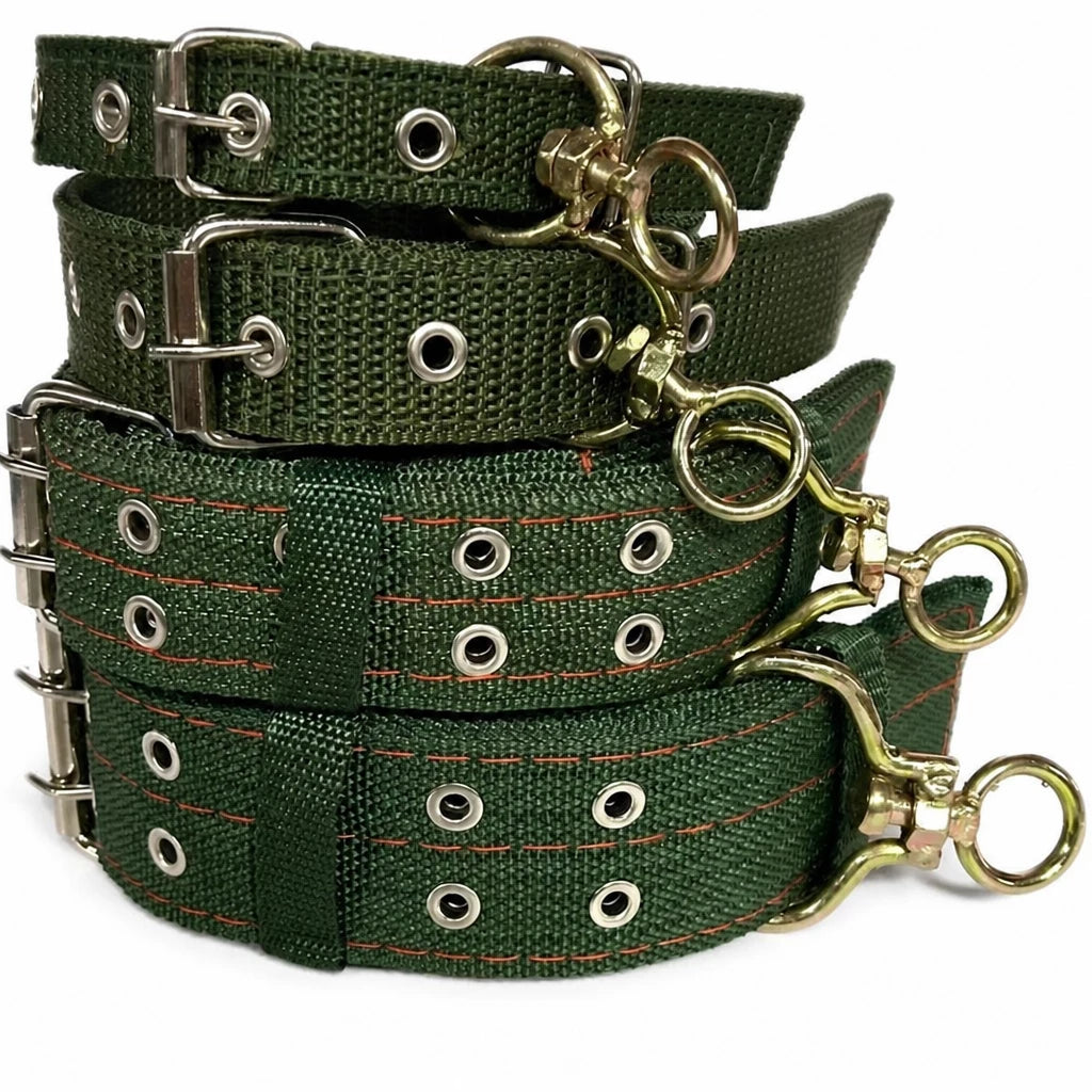 Nylon Dog Collar for Small to Large Dogs