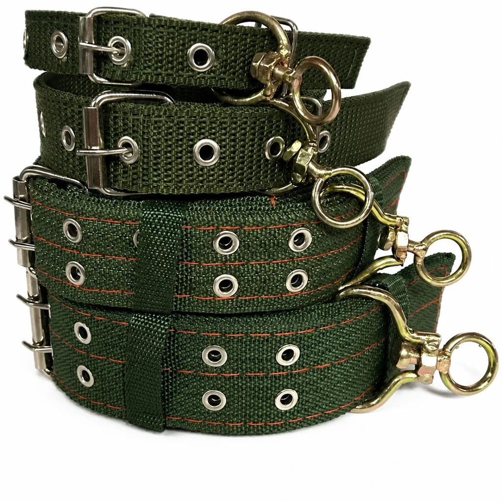 Nylon Dog Collar for Small to Large Dogs