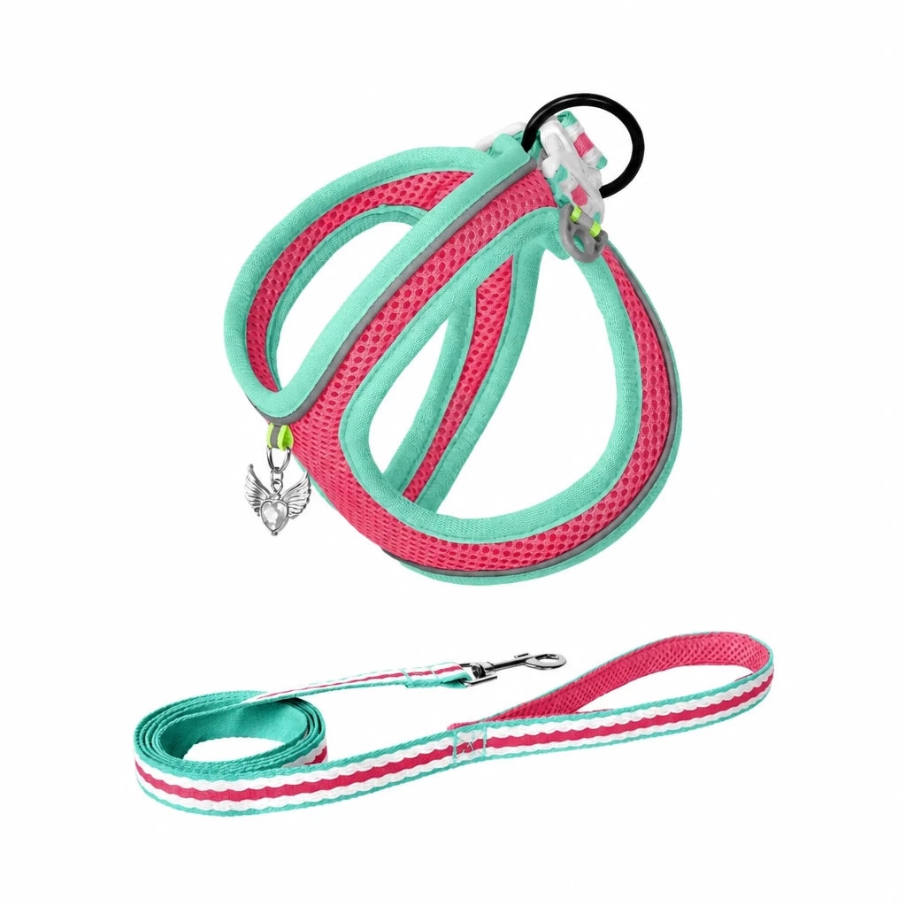 Adjustable Dog Harness with 4.6-ft Leash for Small Dogs